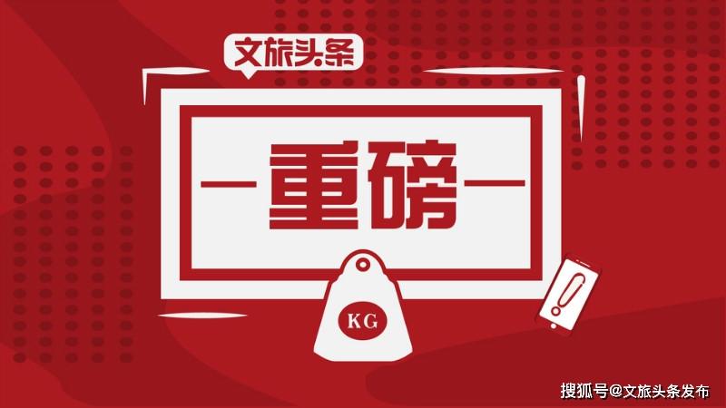 从严从紧 从细从实 强化游客招徕关键环节管理